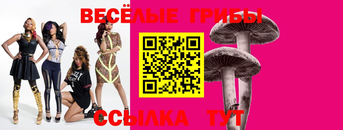 Галлюциногенные грибы Psilocybine cubensis  Вход с VPN  Псилоцибиновые грибы Magic Shrooms  Котовск 